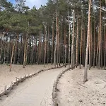 Butas Kunigiskes Olaga Hill Garden Palanga