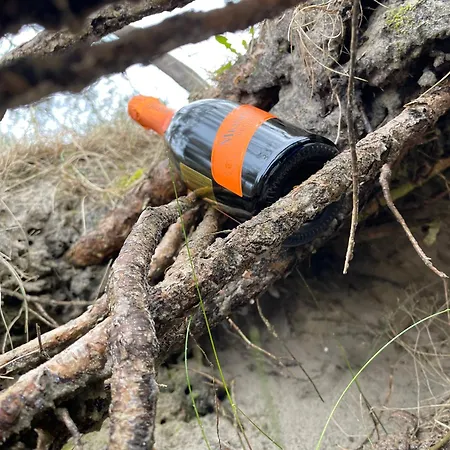 Kunigiskes Olaga Hill Garden Połąga