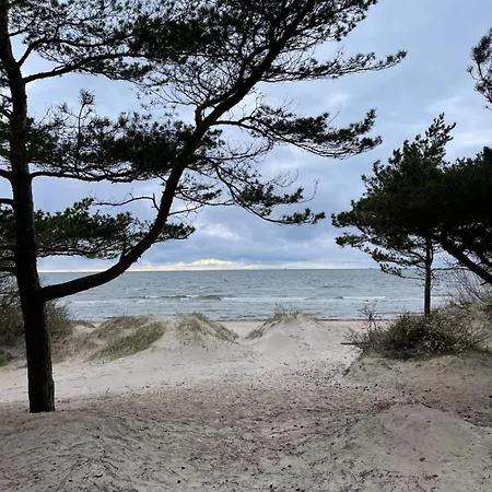 Kunigiskes Olaga Hill Garden Паланга