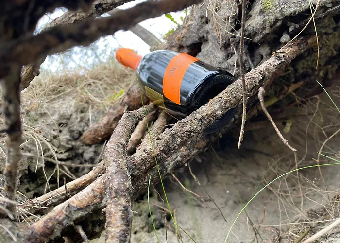 Kunigiskes Olaga Hill Garden Palanga