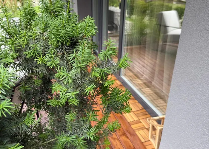 Kunigiskes Olaga Hill Garden Apartman *